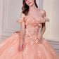 Vestido de Gala de Quinceañera Corte A con Hombros Caídos Ladivine 15731