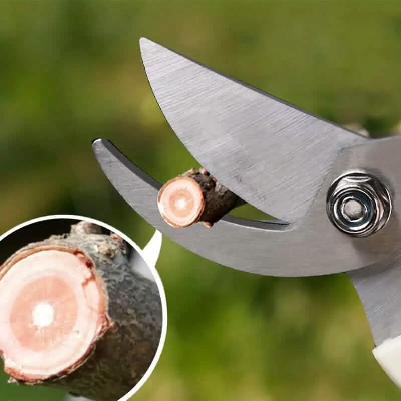 2 piezas: Set de tijeras de podar de jardín con cuchillas afiladas