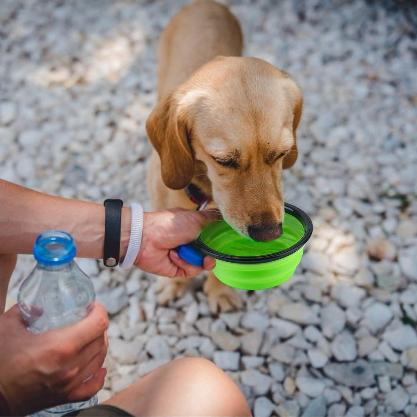 Paquete de 4: Plato plegable de silicona para comida o agua para perros o gatos