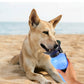 Botella de agua portátil de 500 ml para mascotas