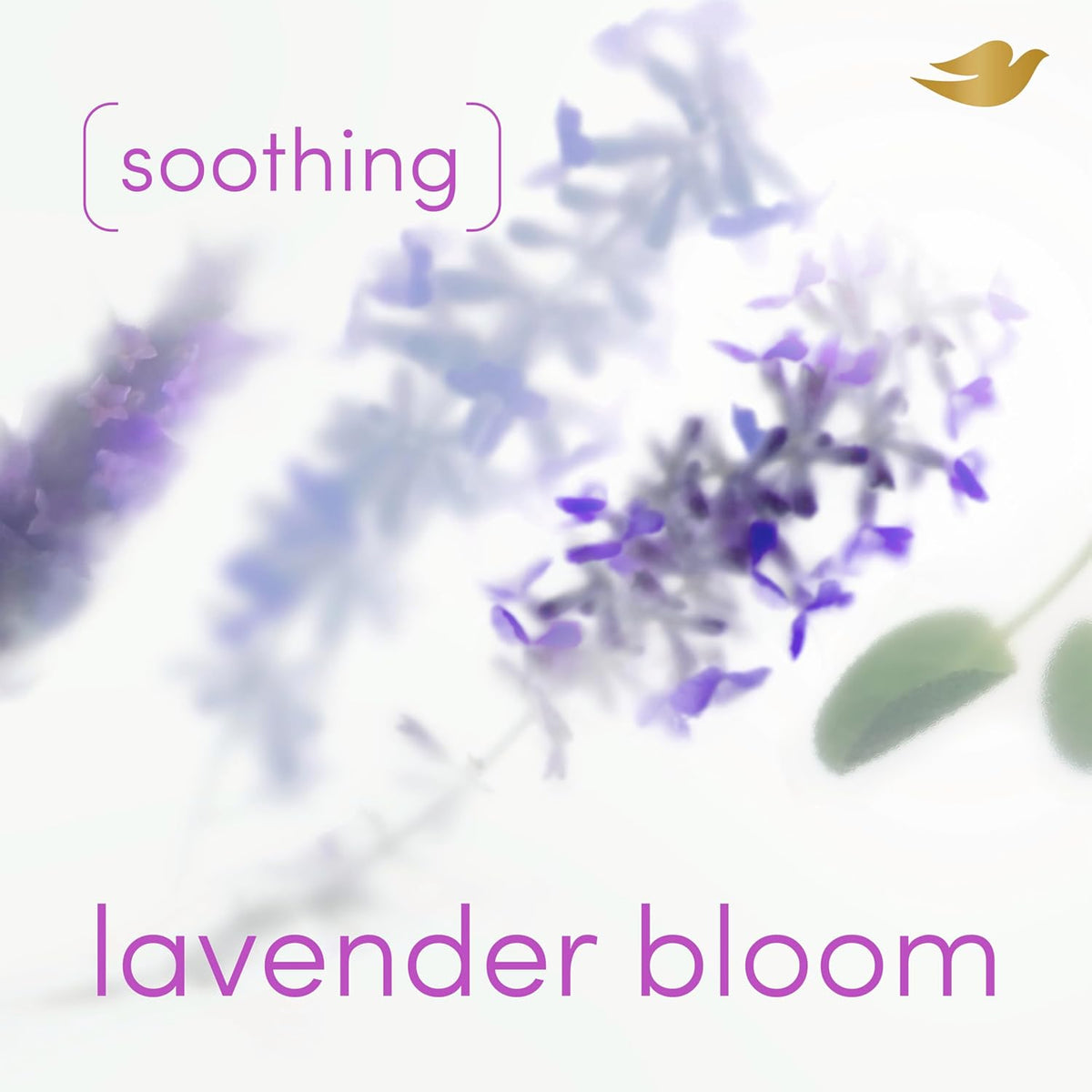 Dove Desodorante en Aerosol para Todo el Cuerpo sin Alcohol para Mujer 72 horas de control de olores Aroma Lavanda en Flor 4 oz