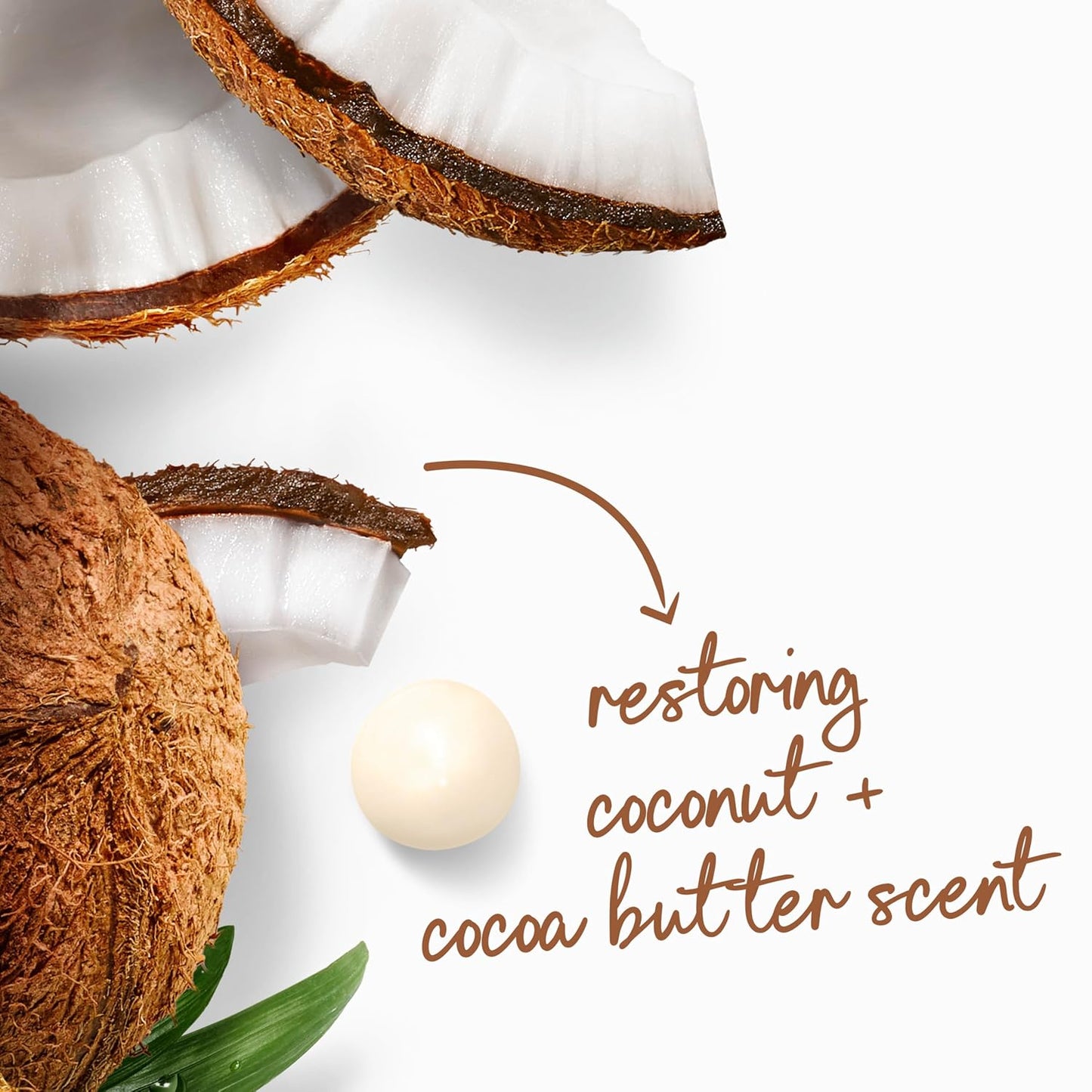 Dove Jabón Líquido Corporal con Dosificador Restore Coco y Manteca de Cacao para Piel Suave como Loción por 24 horas Limpiador Humectante para Piel sin Sulfatos ni Parabenos 907 g