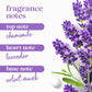 Dove Body Wash con bomba, aceite de lavanda relajante y manzanilla, paquete de 3 para una piel renovada y saludable, limpiador suave para la piel con micromohidratación renovadora de 24 horas, 30.6 onzas