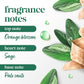 Dove Edición Limitada FIFA Régimen 3 Unidades Palo Santo & Aceite de Salvia Para Mujeres para Piel Hidratada y Suave