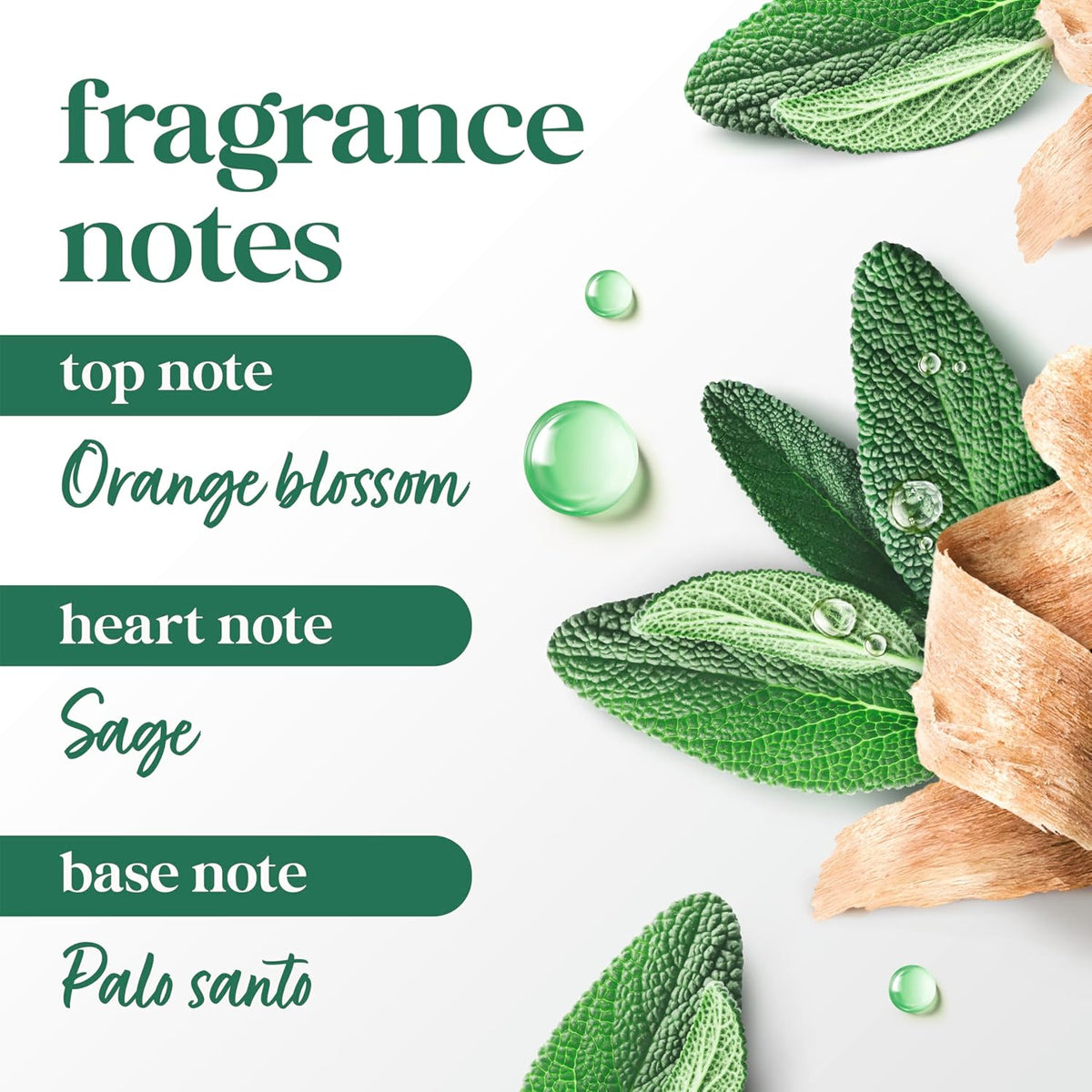 Dove Barra Sólida Palo Santo y Salvia para 72 Horas de Protección contra el Sudor y el Olor Sin Alcohol 74 g
