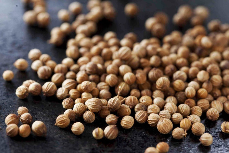 Semilla de cilantro europeo