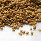 Fenugreek Seed