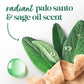 Dove Barra Sólida Palo Santo y Salvia para 72 Horas de Protección contra el Sudor y el Olor Sin Alcohol 74 g