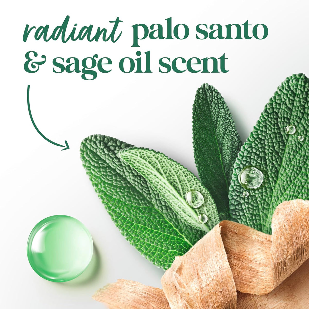 Dove Barra Sólida Palo Santo y Salvia para 72 Horas de Protección contra el Sudor y el Olor Sin Alcohol 74 g