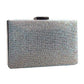 Shimmery Evening Clutch Bag