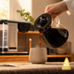 Enthusiast 8-Cup Drip Coffee Brewer