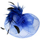Feather Pearl Cluster Mesh Flower Fascinator Headband