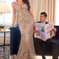 Ladivine CC0389 Dress Lace Embellished Fitted Gown