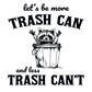 Trash Panda Raccoon Glass Cups