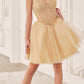 Ladivine CD0236 Short A-Line Tulle Homecoming Dress