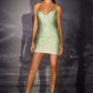 Ladivine CD2424 Fitted Sleek Silhouette Shimmering Fitted Dress