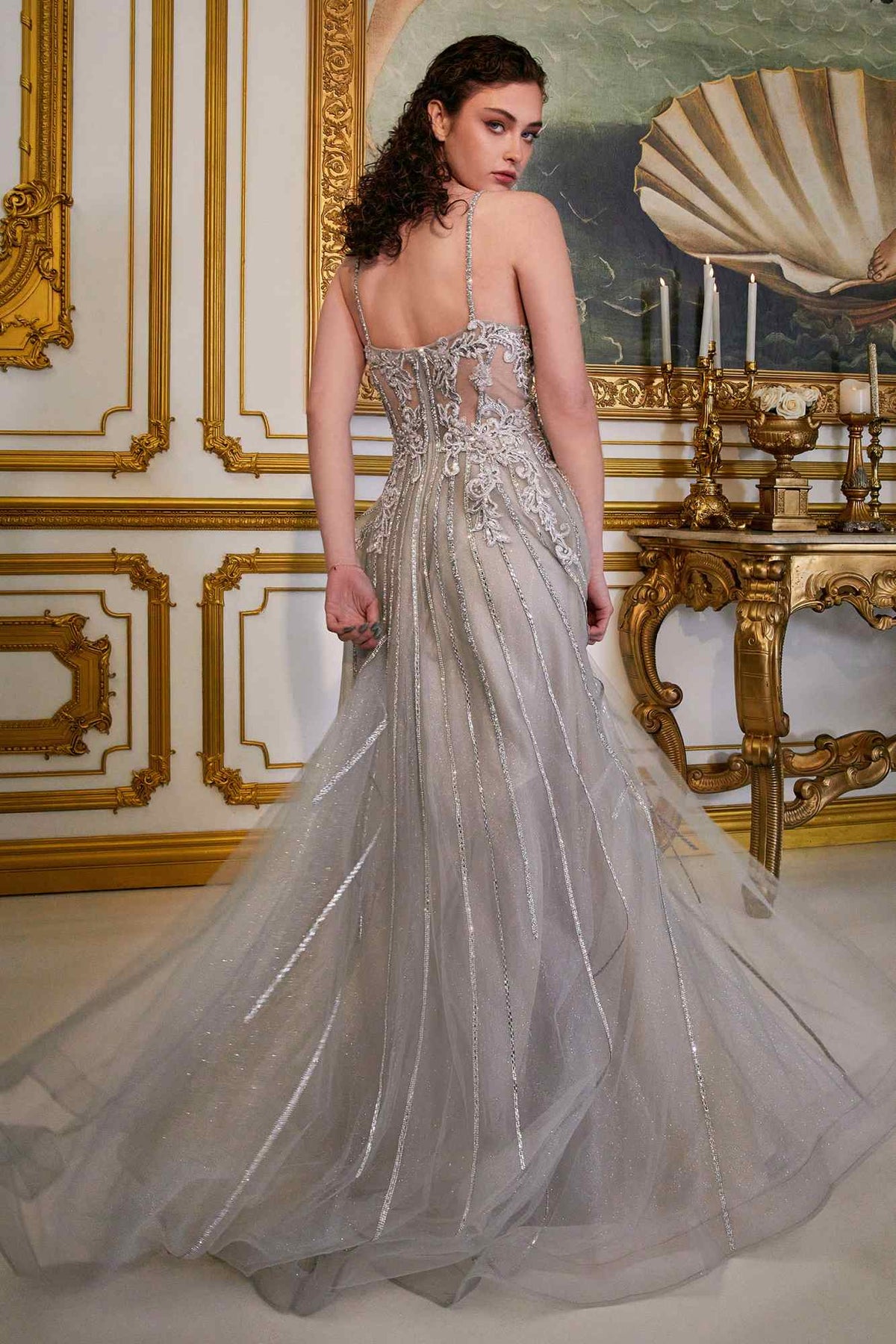 Cenicienta Divina CD994 Vestido largo de tul con pedrería, corte en A, detalle de encaje y escote en V