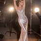 Ladivine CDS450 Long Fitted Lace Applique Bodice Sheer Bodice Gown