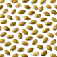 Raw Pumpkin Seeds (Pepitas) – Bulk Value Bag