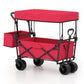 Collapsible Wagon with Removable Canopy and Detachable Storage Bag