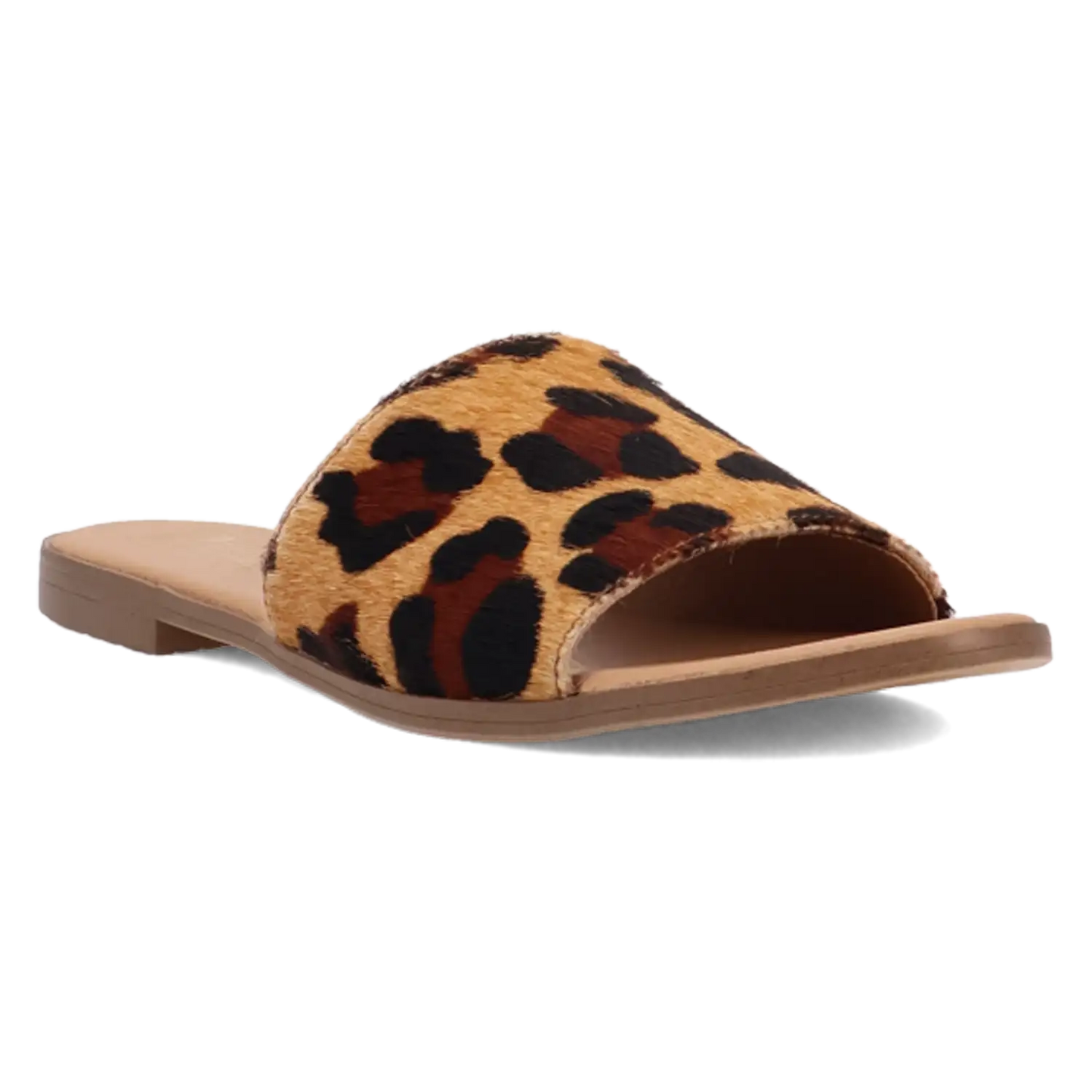 Dingo Tabby - Sandalias de mujer