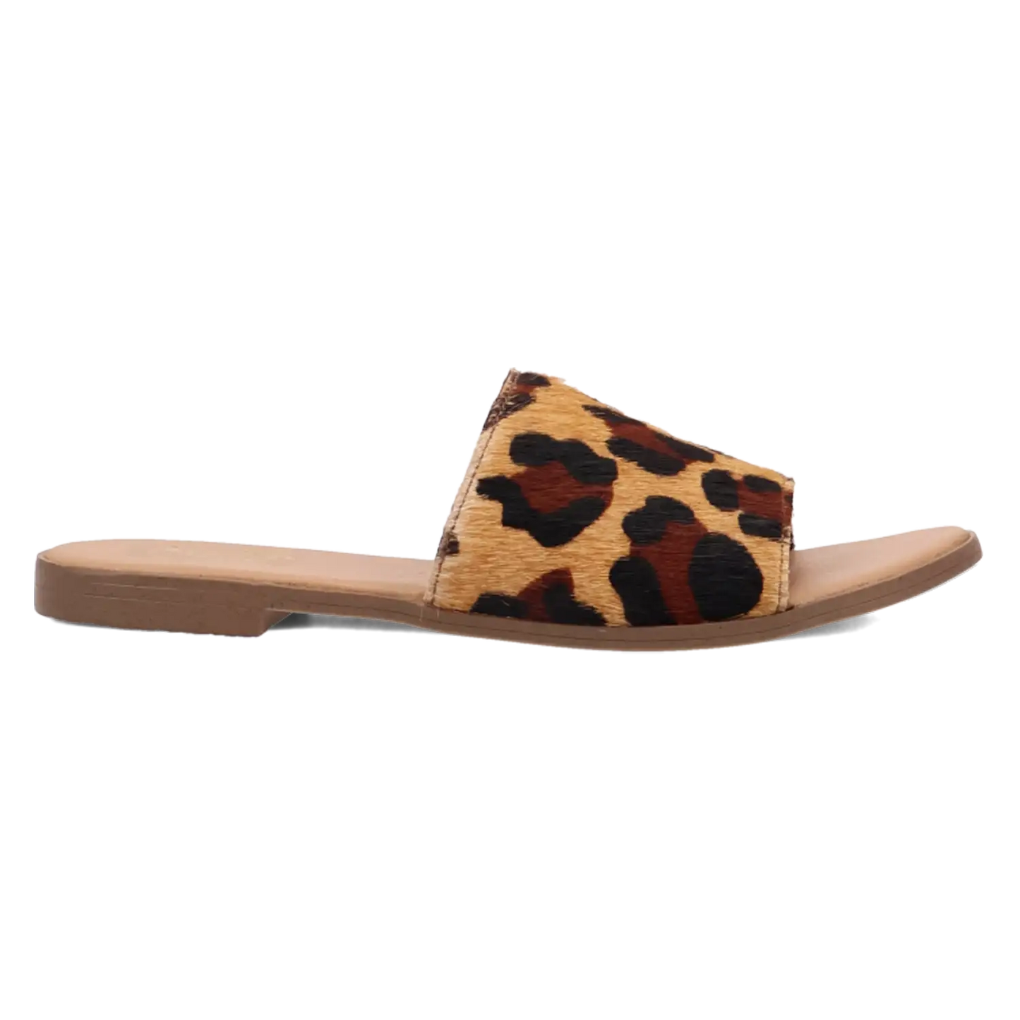 Dingo Tabby - Sandalias de mujer