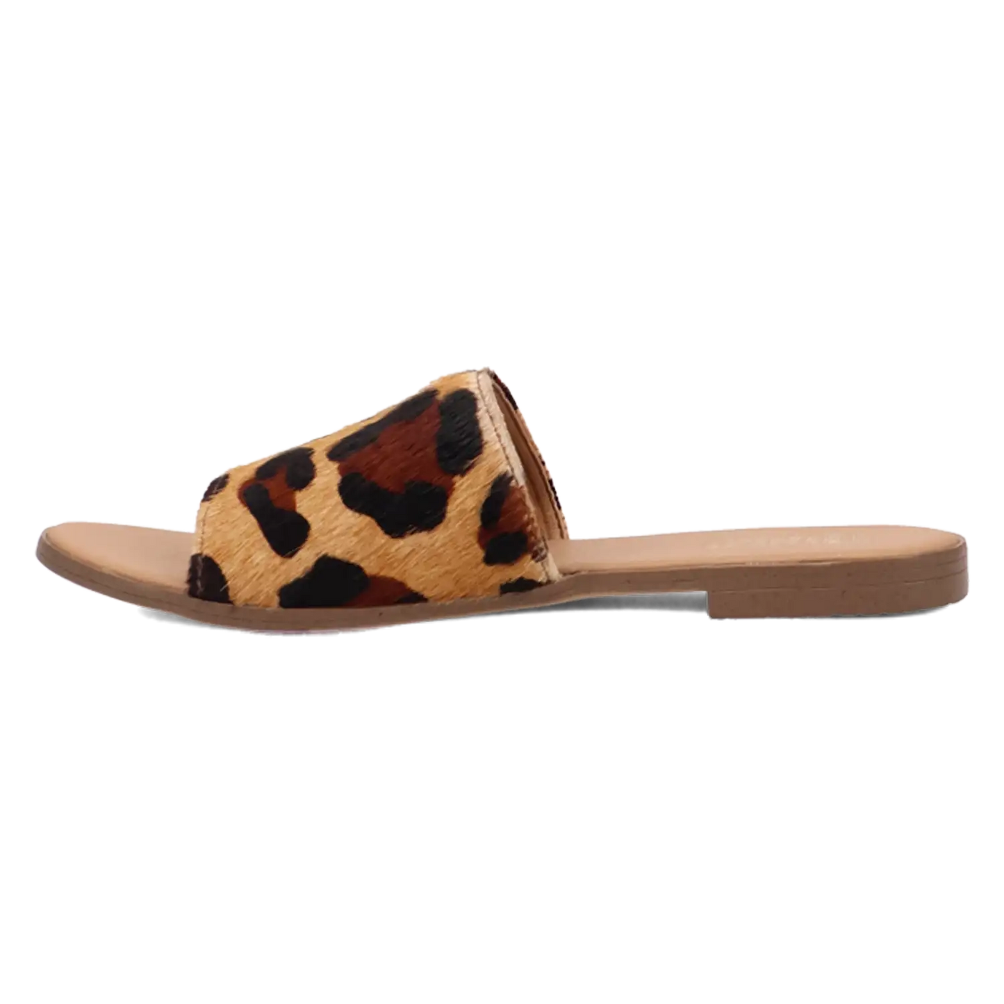 Dingo Tabby - Sandalias de mujer