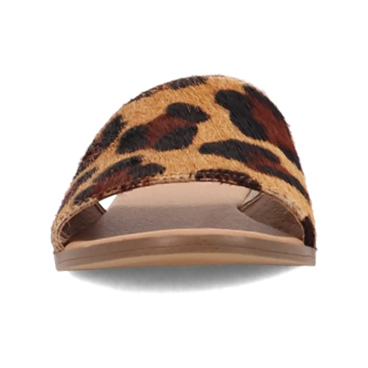 Dingo Tabby - Sandalias de mujer