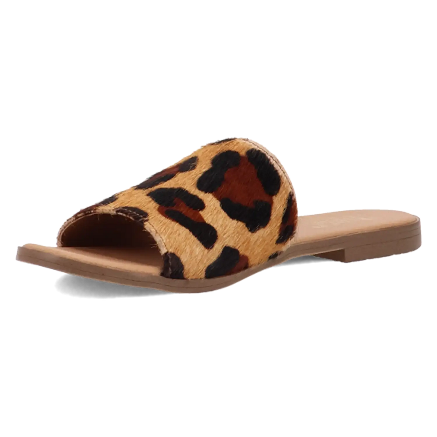 Dingo Tabby - Sandalias de mujer