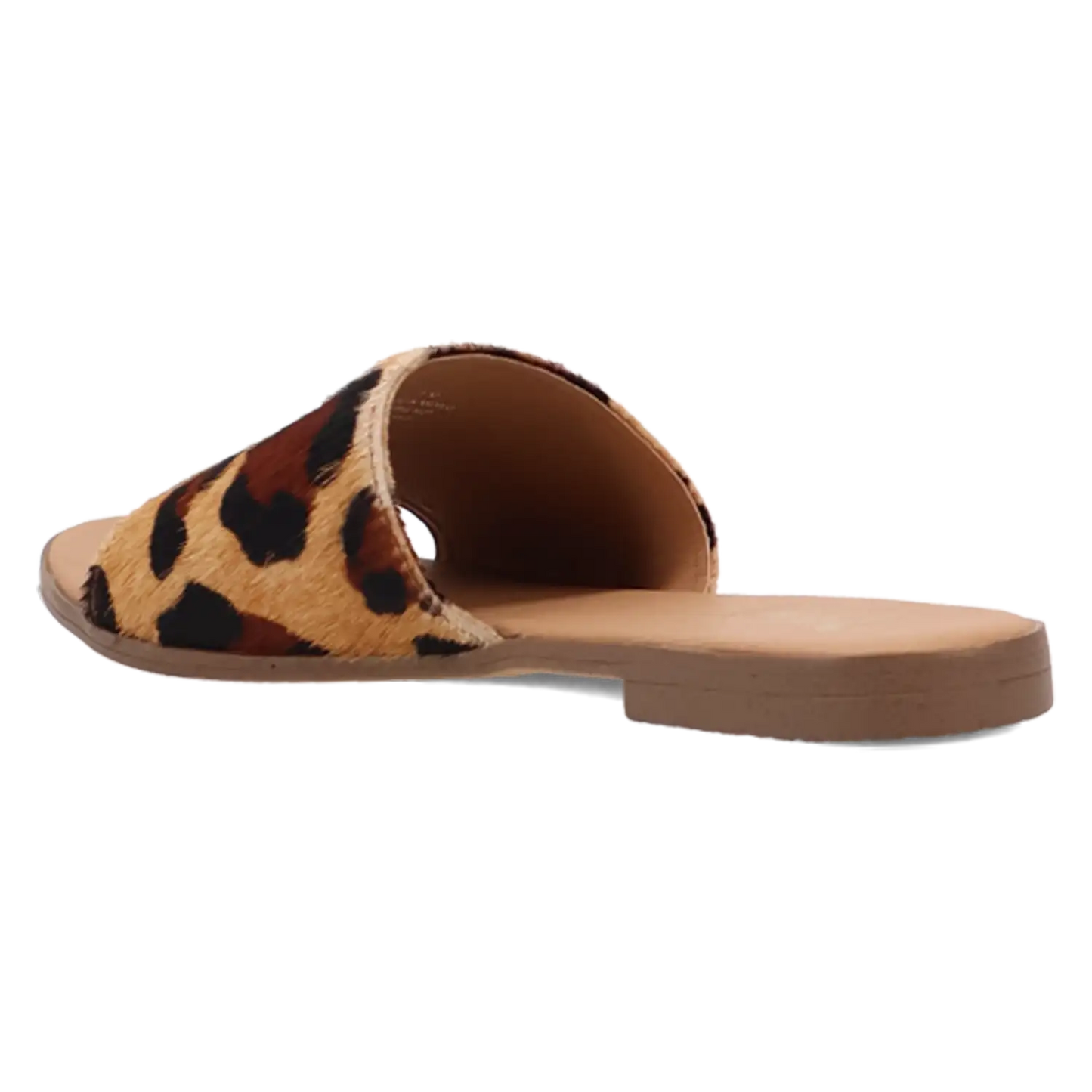 Dingo Tabby - Sandalias de mujer