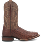 Botas vaqueras de piel de avestruz para hombre Dan Post Alamosa (Chocolate/Marrón)