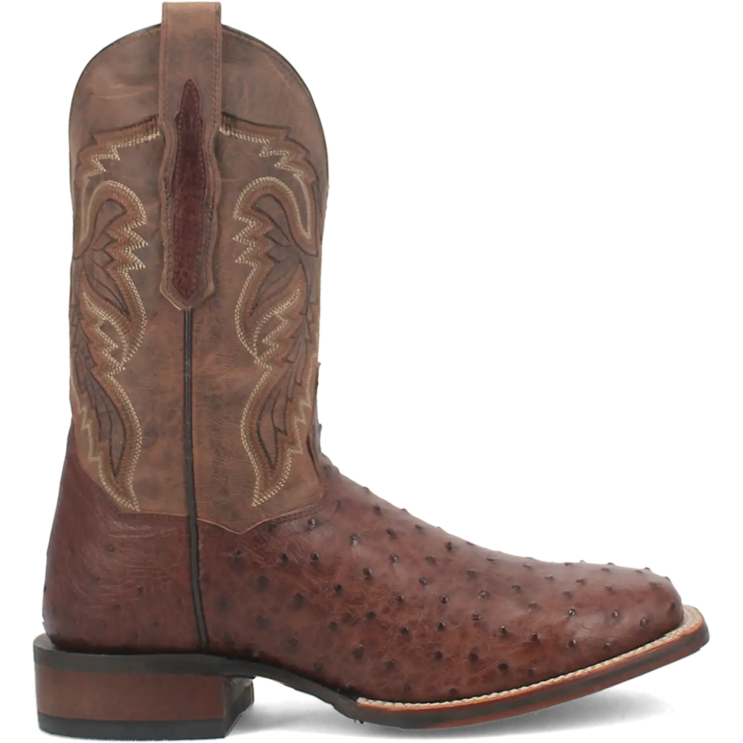 Botas vaqueras de piel de avestruz para hombre Dan Post Alamosa (Chocolate/Marrón)