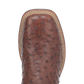 Botas vaqueras de piel de avestruz para hombre Dan Post Alamosa (Chocolate/Marrón)