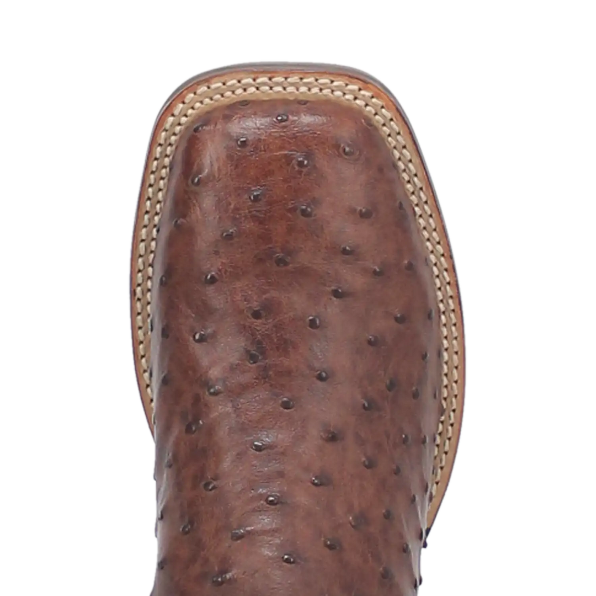 Botas vaqueras de piel de avestruz para hombre Dan Post Alamosa (Chocolate/Marrón)