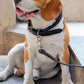 Leather Dog Leash