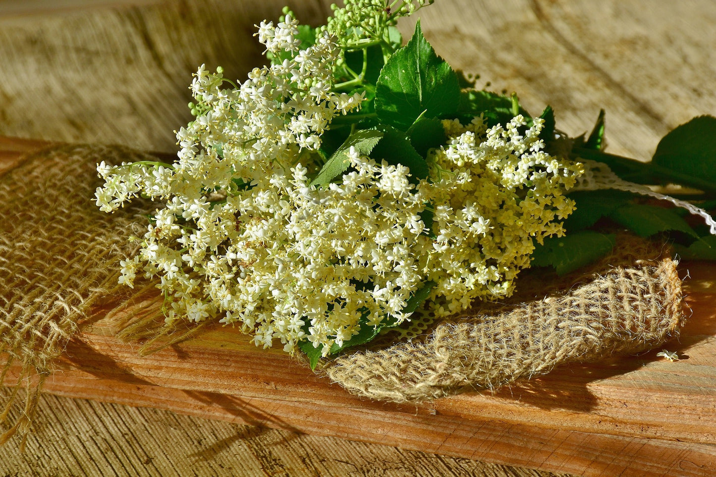Elderflowers, Whole, Organic