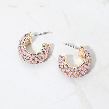 Stone Pave Hoop Earrings