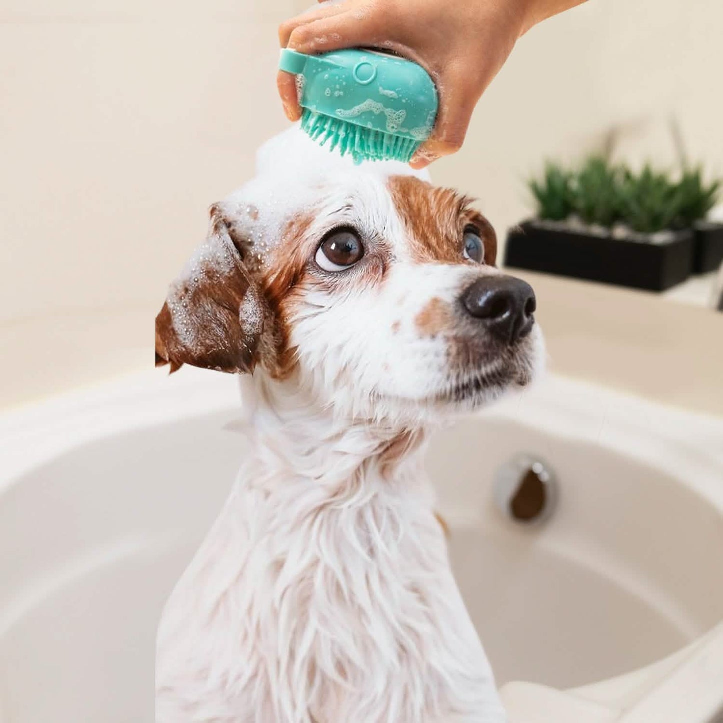 Cepillo Masajeador Suave para Perros y Gatos con Dispensador de Champú