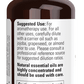 Ginger Essential Oil