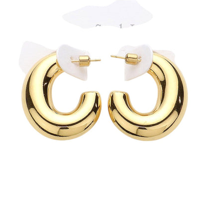 Chunky Stainless Steel Hoop Earrings
