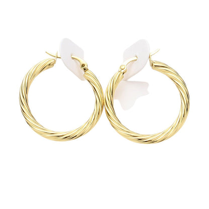 Twisted Stainless Steel Hoop Pin Catch Earrings
