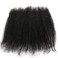 Frontal de cabello humano Afro Kinky 13x6 HD Lace