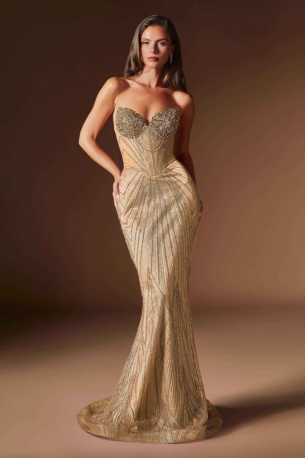 Vestido de Noche Ajustado con Corsé Transparente y Cuerpo Cubierto de Cristales Ladivine J903 Lavish