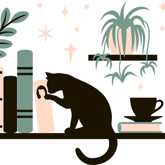 Estanterías con gatito, plantas y vasos de cristal