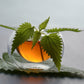 Nettle Leaf, Cut, Sifted