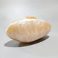 Women's Oval Shell Goose Egg Acrylic Fashion Evening Bags
