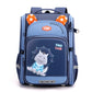 Boys Burden Reduction Space Type Years Elementary School Students' Schoolbags