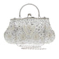 Women's Handmade Pearl Embroidery Dress Garment Dinner Evening Bags