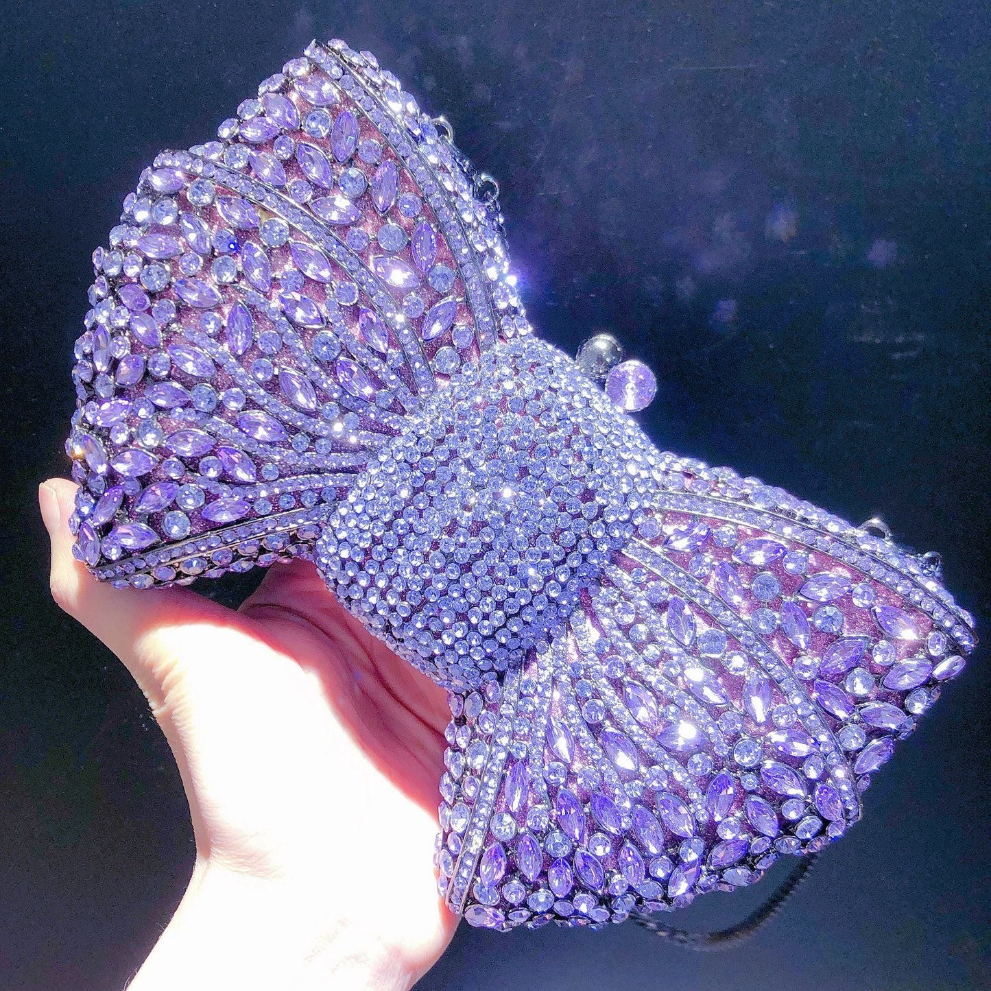 Women's Banquet Dress With Diamond Bow Holding Evening Bags
