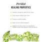 Natural Peridot Solitaire Stud Earrings in Bezel Setting